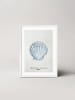 Ars Longa Druk artystyczny "Tropical shell collection no. 2" w ramce - 70 x 50 cm
