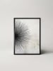 Ars Longa Ingelijste kunstdruk "Rays of the sun no. 2" - (L)70 x (B)50 cm