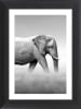 Ars Longa WALKING ELEPHANT - (L)70 x (B)50 cm