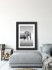 Ars Longa WALKING ELEPHANT - (L)70 x (B)50 cm