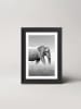 Ars Longa WALKING ELEPHANT - (L)70 x (B)50 cm