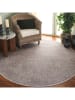 Safavieh Kurzflor-Teppich in Beige/ Creme