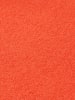Scotch & Soda Pullover in Orange