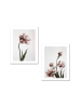 ABERTO DESIGN 2er-Set: Gerahmte Kunstdrucke - (B)30 x (H)40 cm