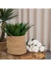 ABERTO DESIGN Aufbewahrungskorb in Hellbraun - (B)15 x (H)20 x (T)18 cm