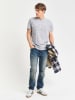 Gant Shirt in Grau