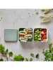 Monbento Lunchbox groen/crème - 1,7 l