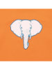 Walkiddy Sweatshirt in Orange