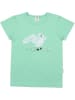 Walkiddy Shirt in Türkis