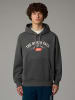 The North Face Hoodie in Anthrazit
