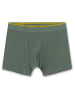 Sanetta 2er-Set: Boxershorts in Grau