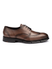 LLOYD Leder-Schnürschuhe in Braun
