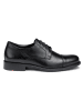 LLOYD Leren veterschoenen "Tassil" zwart