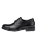 LLOYD Leren veterschoenen "Tassil" zwart