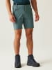 Regatta Functioneel short "Xert III" groen