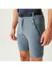 Regatta Zipp-Off-Funktionshose "Xert Stretch III" in Grau