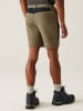 Regatta Funktionsshorts "Mountain II" in Khaki