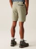Regatta Funktionsshorts "Packaway" in Beige