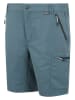 Regatta Funktionsshorts "Leesville" in Hellblau