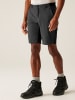 Regatta Funktionsshorts "Eldes" in Grau/ Anthrazit