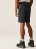 Regatta Funktionsshorts "Eldes" in Grau/ Anthrazit