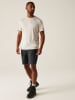 Regatta Funktionsshorts "Eldes" in Grau/ Anthrazit