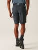 Regatta Funktionsshorts "Eldes" in Hellblau/ Grau