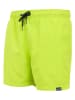 Regatta Badeshorts "Mawson" in Grün