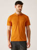 Regatta Funktionspoloshirt "Maverik V" in Orange