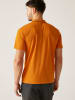 Regatta Funktionspoloshirt "Maverik V" in Orange
