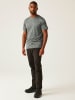 Regatta Funktionsshirt "Fingal Edition" in Grau
