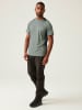 Regatta Funktionsshirt "VirdaI V" in Grau