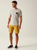 Regatta Shirt "Cline IX" grijs