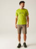 Regatta Laufshirt "Fingal IX" in Grün
