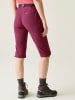 Regatta Funktionshose "Xrt Light" in Rot