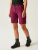 Regatta Funktionsshorts "XertStr" in Rot