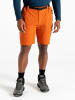 Dare 2b Funktionsshorts "Tuned In Pro" in Orange