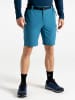 Dare 2b Funktionsshorts "Tuned In Pro" in Blau