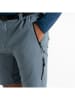 Dare 2b Funktionsshorts "Tuned In Pro" in Grau