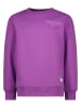 Vingino Sweatshirt paars
