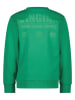 Vingino Sweatshirt in Grün
