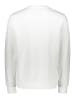 Calvin Klein Sweatshirt in Weiß