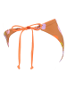 Roxy Bikini-Hose in Orange