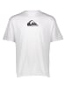 Quiksilver Shirt in Weiß