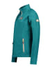 Geographical Norway Fleecepullover in Grün