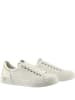 Högl Leder-Sneakers "Noa" in Weiß/ Silber