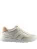 Högl Leder-Sneakers "Tony" in Weiß/ Silber