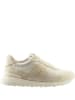Högl Leder-Sneakers "Tony" in Creme/ Weiß