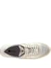 Högl Leder-Sneakers "Tony" in Creme/ Weiß