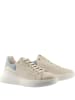 Högl Leren sneakers "Wave" crème/lichtblauw